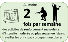 Au moins 2 fois par semaine : activités de renforcement musculaire