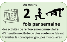 Au moins 2 fois par semaine : activités de renforcement musculaire